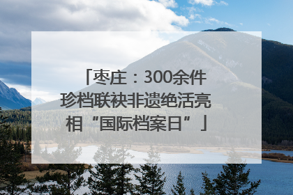 枣庄：300余件珍档联袂非遗绝活亮相“国际档案日”