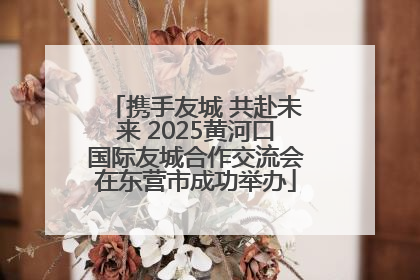 携手友城 共赴未来 2025黄河口国际友城合作交流会在东营市成功举办
