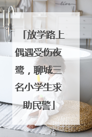 放学路上偶遇受伤夜鹭，聊城三名小学生求助民警