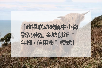 政银联动破解中小微融资难题 金塘创新“年报+信用贷”模式