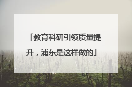 教育科研引领质量提升，浦东是这样做的