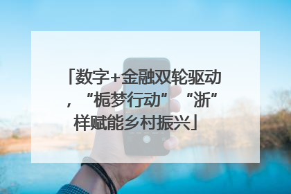 数字+金融双轮驱动，“栀梦行动”“浙”样赋能乡村振兴