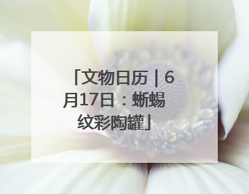 文物日历｜6月17日：蜥蜴纹彩陶罐