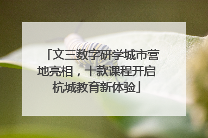 文三数字研学城市营地亮相，十款课程开启杭城教育新体验