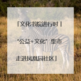文化书院进行时丨“公益+文化”集市走进凤凰园社区