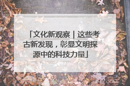 文化新观察｜这些考古新发现，彰显文明探源中的科技力量