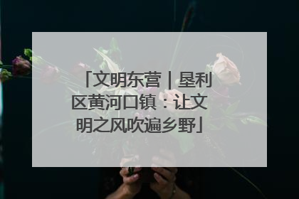 文明东营｜垦利区黄河口镇：让文明之风吹遍乡野