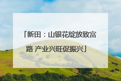 新田：山银花绽放致富路 产业兴旺促振兴