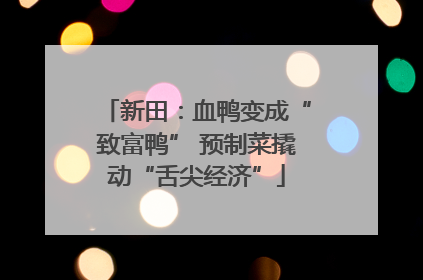 新田：血鸭变成“致富鸭” 预制菜撬动“舌尖经济”