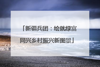 新疆兵团：绘就绿富同兴乡村振兴新图景