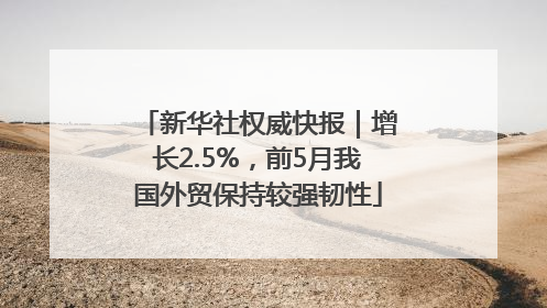 新华社权威快报｜增长2.5%，前5月我国外贸保持较强韧性