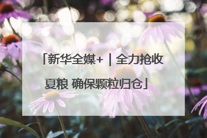 新华全媒+｜全力抢收夏粮 确保颗粒归仓