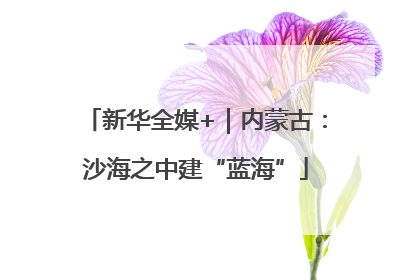 新华全媒+｜内蒙古：沙海之中建“蓝海”