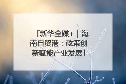 新华全媒+｜海南自贸港：政策创新赋能产业发展