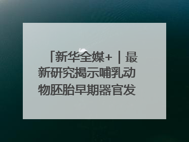 新华全媒+｜最新研究揭示哺乳动物胚胎早期器官发育“密码”