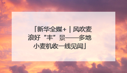 新华全媒+｜风吹麦浪好“丰”景——多地小麦机收一线见闻