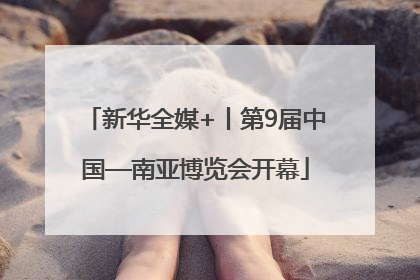 新华全媒+丨第9届中国—南亚博览会开幕