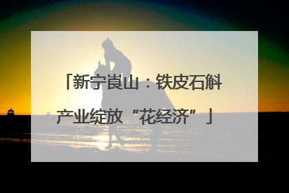 新宁崀山：铁皮石斛产业绽放“花经济”