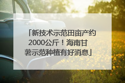 新技术示范田亩产约2000公斤！海南甘薯示范种植有好消息