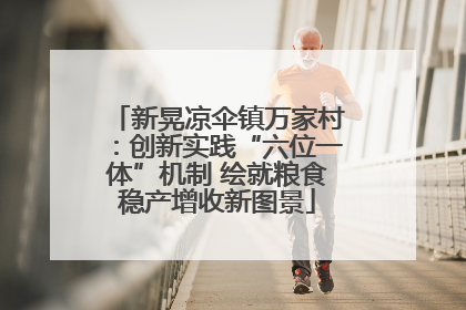 新晃凉伞镇万家村：创新实践“六位一体”机制 绘就粮食稳产增收新图景