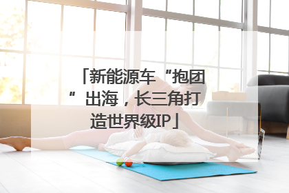 新能源车“抱团”出海，长三角打造世界级IP