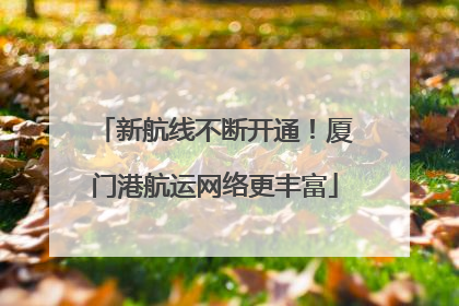新航线不断开通！厦门港航运网络更丰富