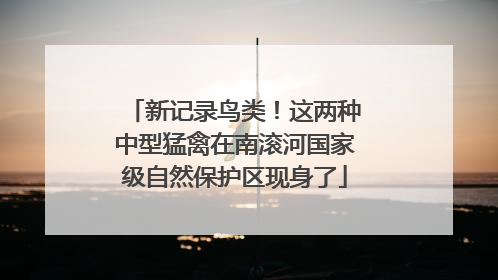 新记录鸟类！这两种中型猛禽在南滚河国家级自然保护区现身了