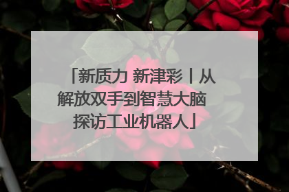 新质力 新津彩丨从解放双手到智慧大脑 探访工业机器人