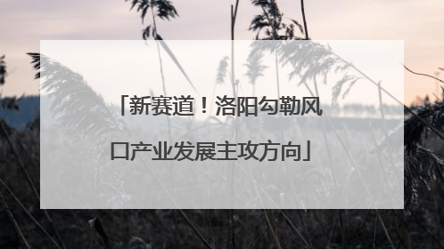 新赛道！洛阳勾勒风口产业发展主攻方向