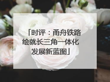时评：甬舟铁路绘就长三角一体化发展新蓝图