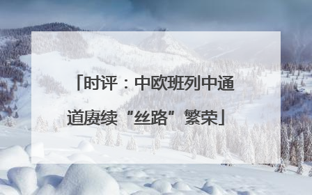 时评：中欧班列中通道赓续“丝路”繁荣