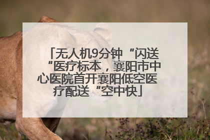 无人机9分钟“闪送“医疗标本，襄阳市中心医院首开襄阳低空医疗配送“空中快
