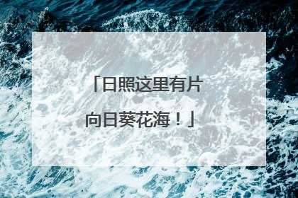日照这里有片向日葵花海！