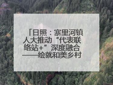 日照：寨里河镇人大推动“代表联络站+”深度融合——绘就和美乡村幸福画卷