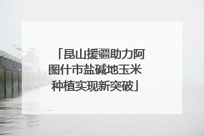 昆山援疆助力阿图什市盐碱地玉米种植实现新突破