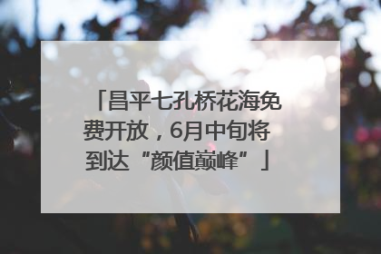 昌平七孔桥花海免费开放，6月中旬将到达“颜值巅峰”