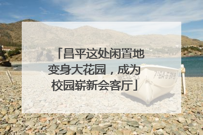 昌平这处闲置地变身大花园，成为校园崭新会客厅