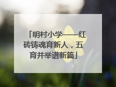 明村小学——红砖铸魂育新人，五育并举谱新篇