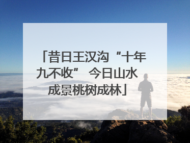 昔日王汉沟“十年九不收” 今日山水成景桃树成林