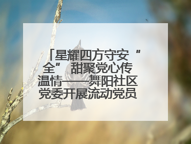 星耀四方守安“全” 甜聚党心传温情——舞阳社区党委开展流动党员建党节主题活动