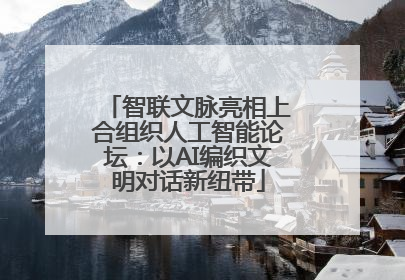 智联文脉亮相上合组织人工智能论坛：以AI编织文明对话新纽带