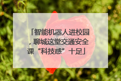 智能机器人进校园，聊城这堂交通安全课“科技感”十足