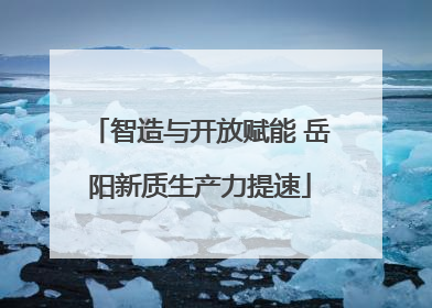智造与开放赋能 岳阳新质生产力提速