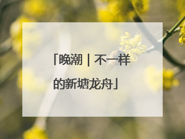 晚潮｜不一样的新塘龙舟