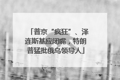 普京“疯狂”、泽连斯基应闭嘴，特朗普猛批俄乌领导人