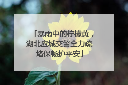 暴雨中的柠檬黄，湖北应城交警全力疏堵保畅护平安