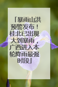 暴雨山洪预警发布！桂北已出现大到暴雨，广西进入本轮降雨最强时段