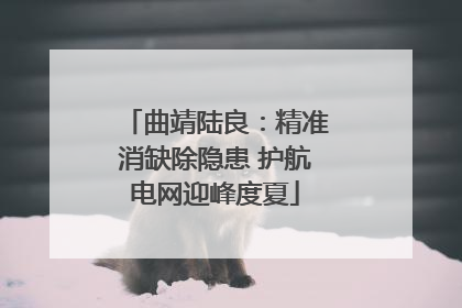 曲靖陆良：精准消缺除隐患 护航电网迎峰度夏