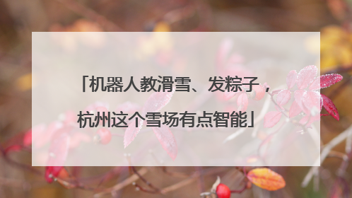 机器人教滑雪、发粽子，杭州这个雪场有点智能