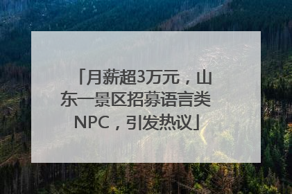 月薪超3万元，山东一景区招募语言类NPC，引发热议